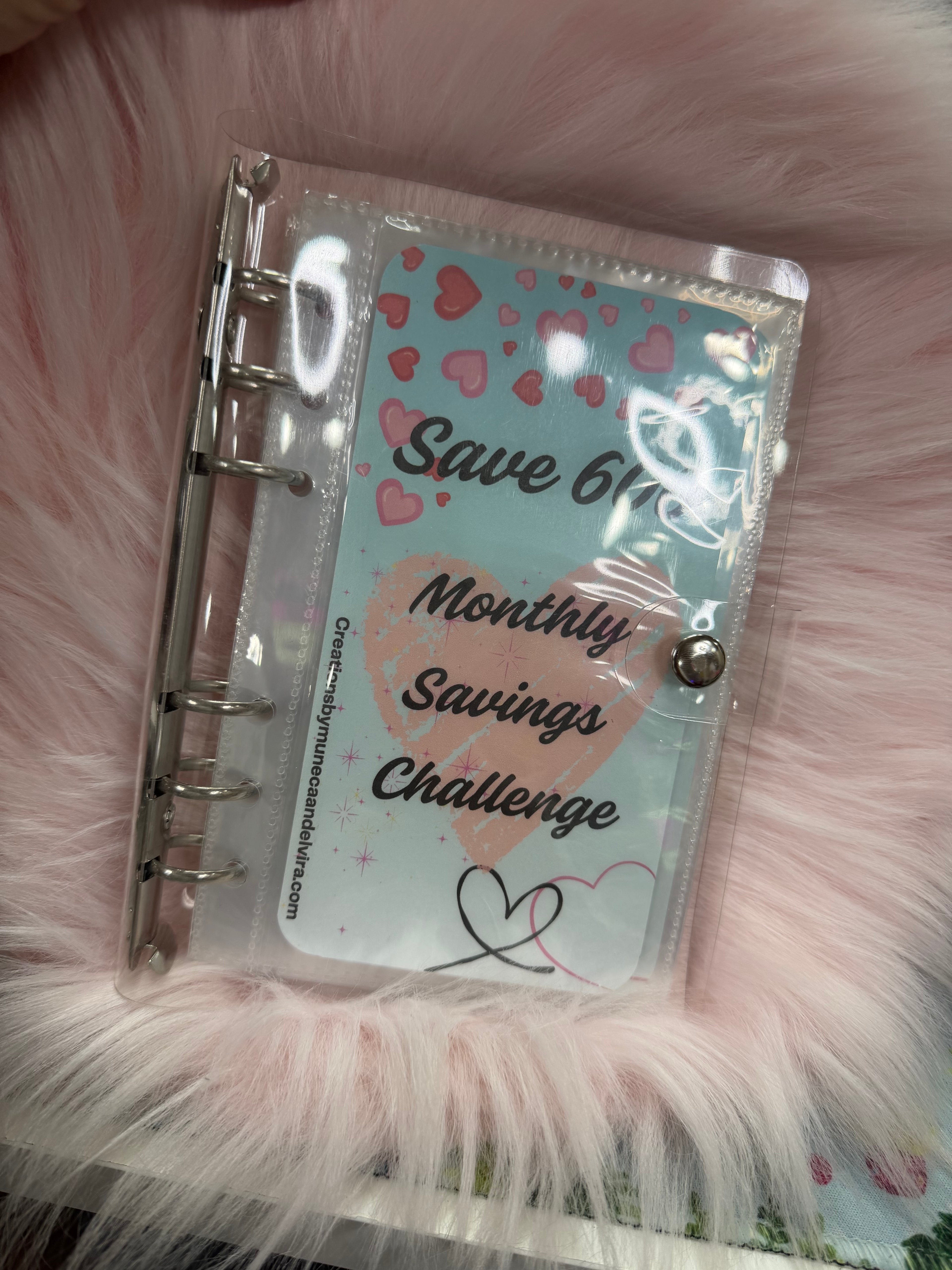 600 monthly savings challenge 12 months laminated