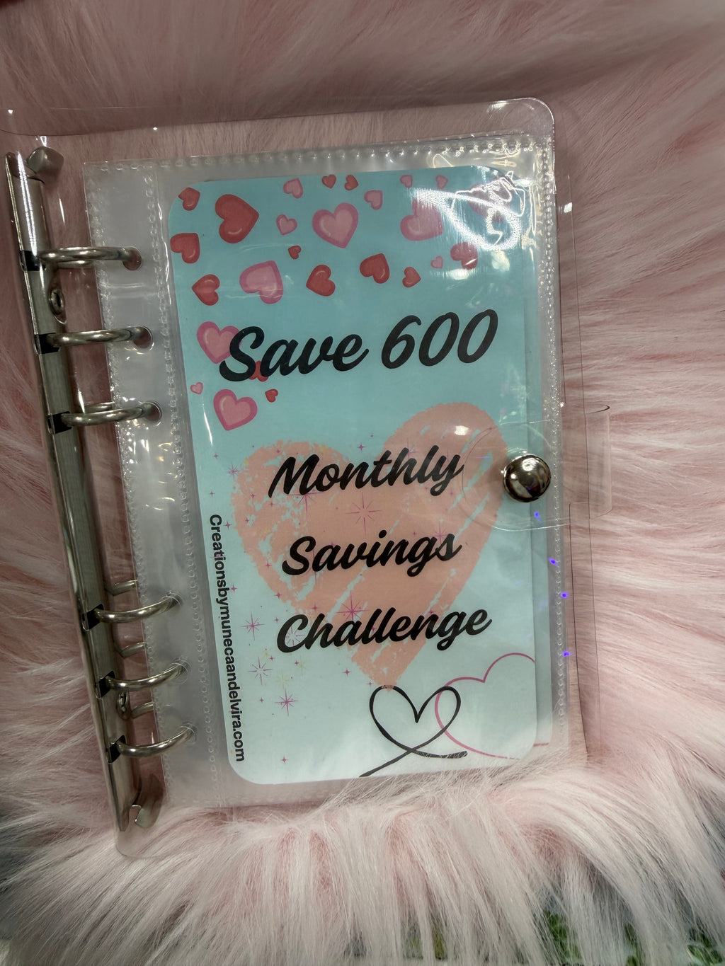 600 monthly savings challenge 12 months laminated