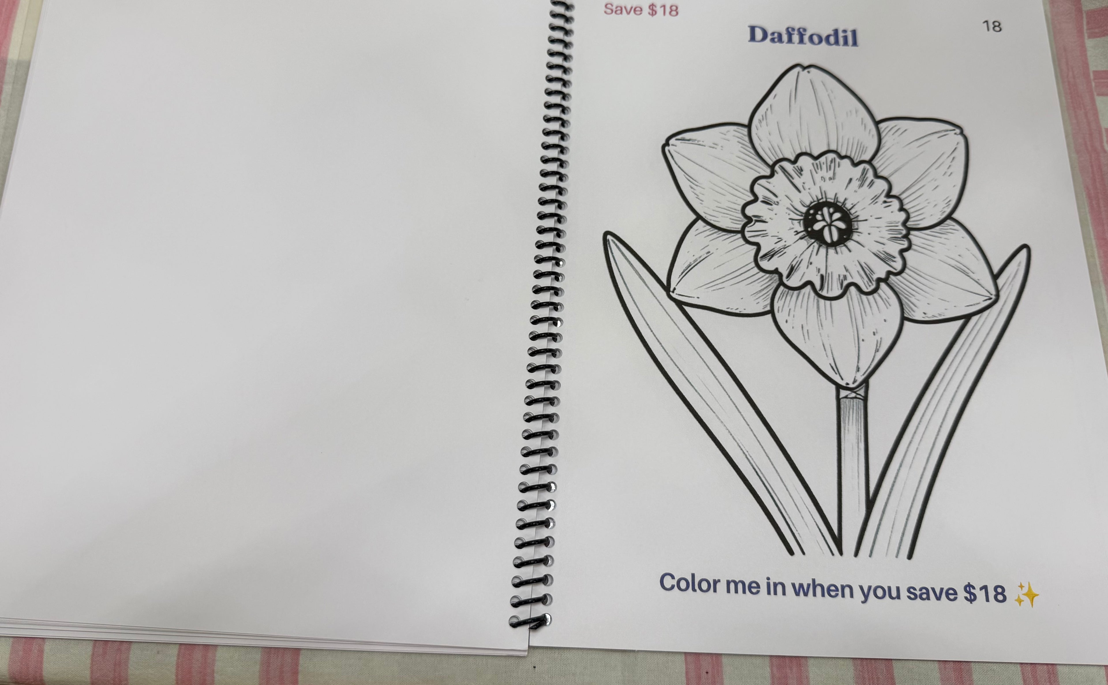 Bloom & Save 24 Beautiful Flowers Color & Savings Challenge Save $300