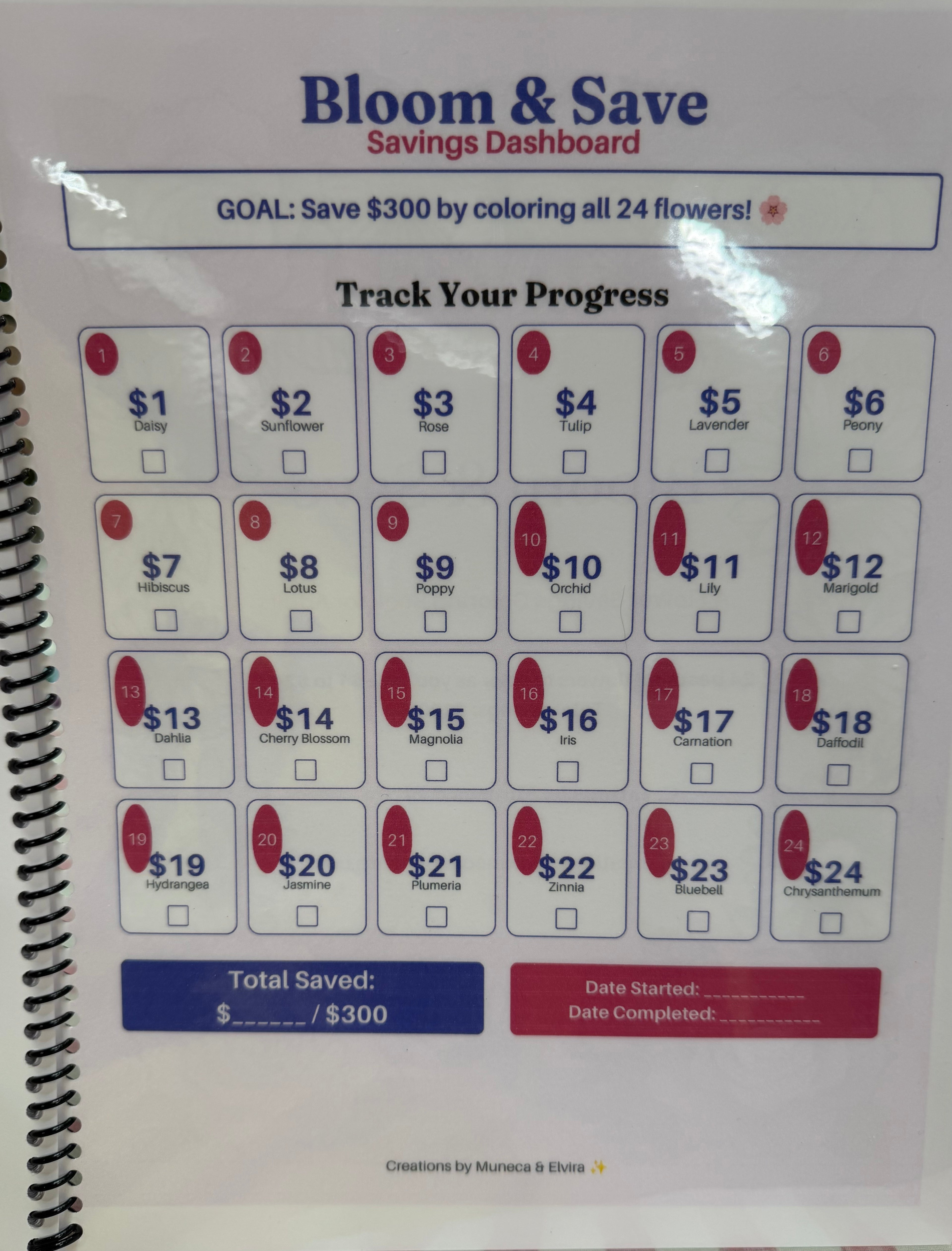 Bloom & Save 24 Beautiful Flowers Color & Savings Challenge Save $300