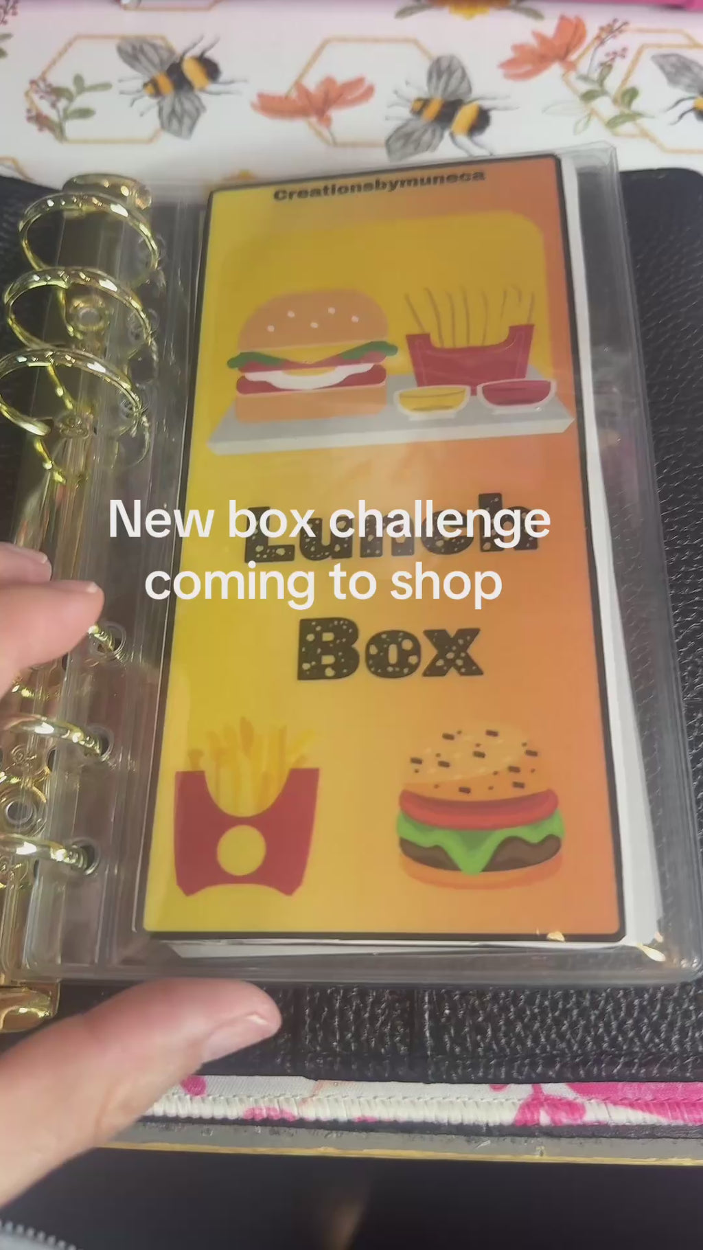 Lunch Box -6 Sections & 14 Cards laminated & envelope